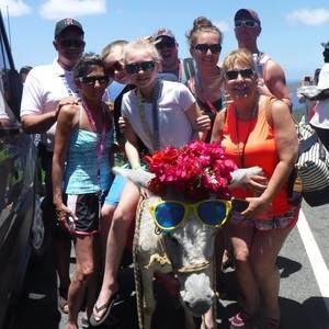 Meet your Posher, Sandra